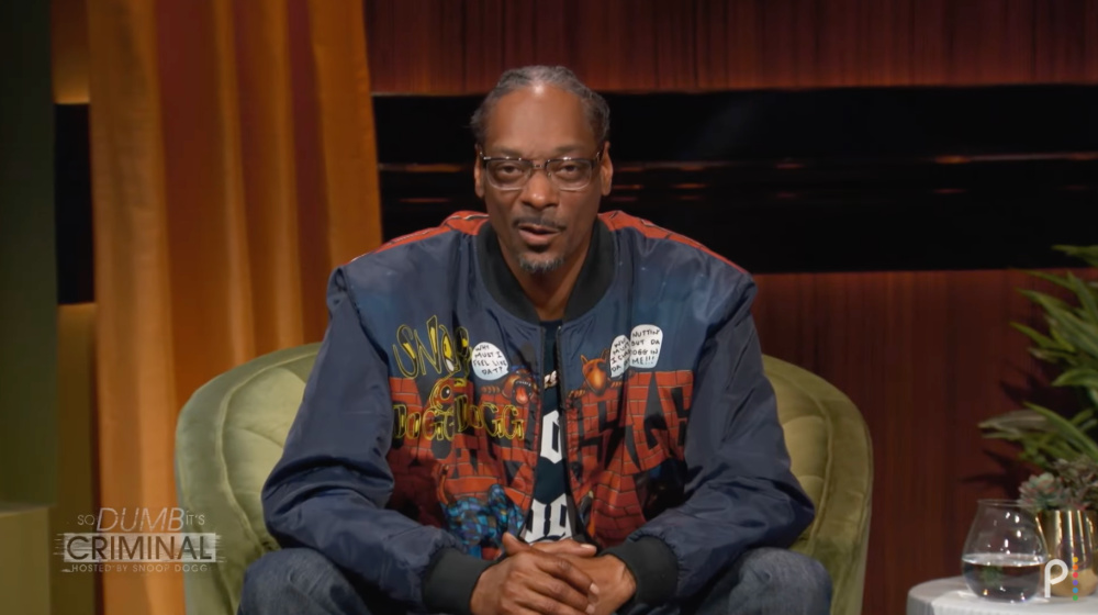 Snoop Dogg- So Dumb It's Criminal