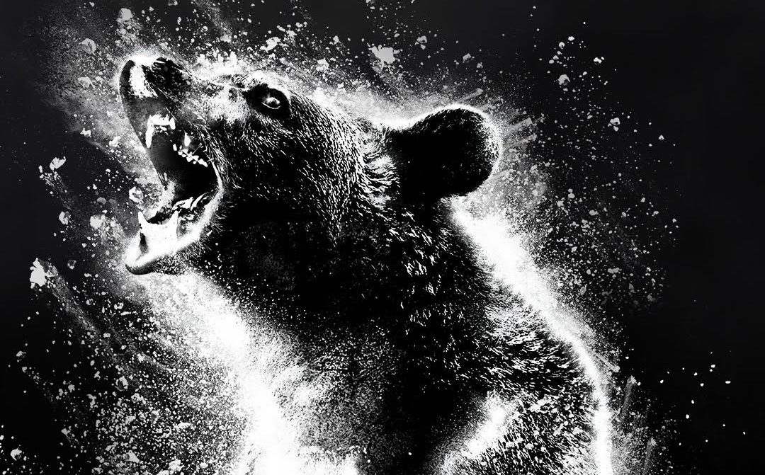 Cocaine Bear Movie Featured Image