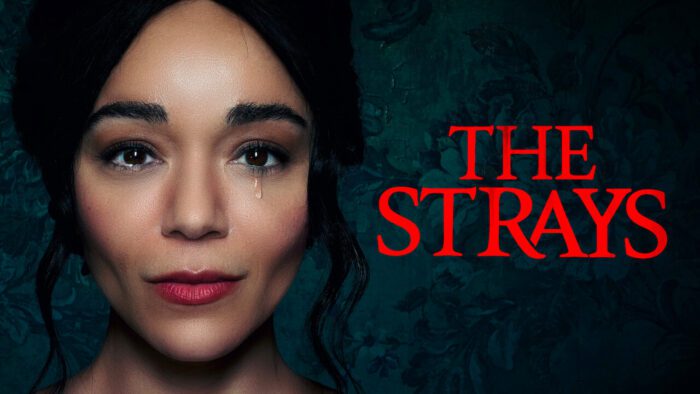 The Strays - Netflix