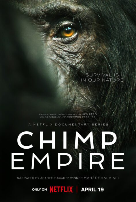 Chimp Empire - Netflix