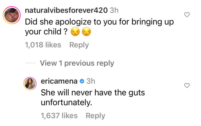 Erica Mena - Spice - Apology
