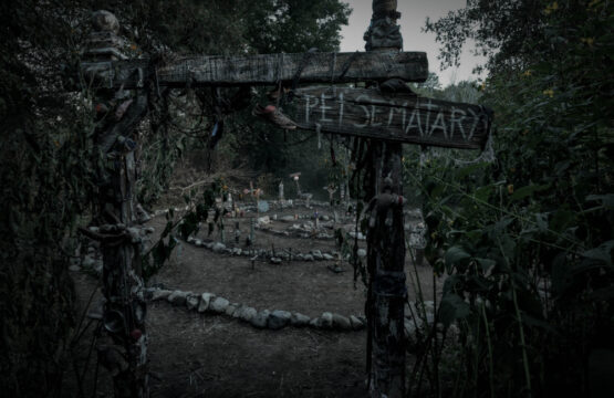 Pet Sematary Bloodlines featured (1)