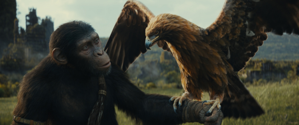 kingdom-of-the-planet-of-the-apes-featured
