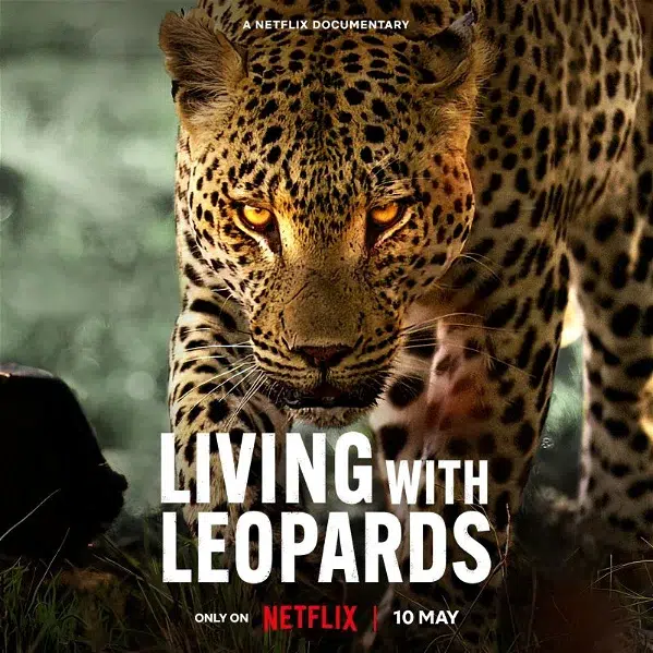 living-with-leopards-netflix