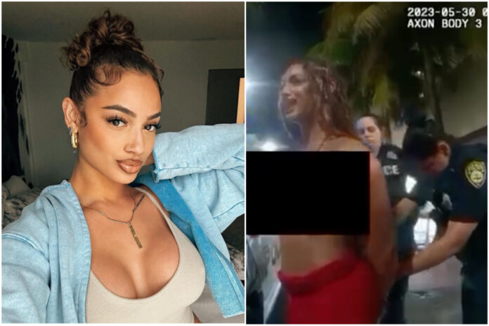 danileigh-dui-hit-and-run-arrest-bodycam-video