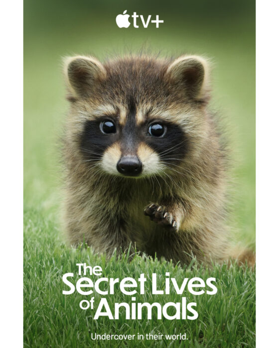 The-Secret-Lives-Of-Animals-Key-Art