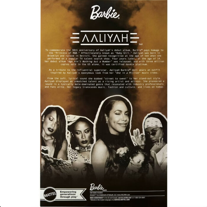 Aaliyah-Barbie-Doll-Box-Back