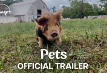 ‘Pets’ Trailer: Disney+ Explores The Unbreakable Bond Between Humans & Animals Screenshot from the Disney+ documentary Pets trailer, showcasing heartwarming moments between animals and their human companions.