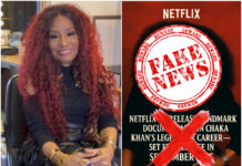 Chaka Khan Shuts Down Netflix Documentary Rumors With A Firm ‘Nope!’ Chaka Khan at a live performance addressing fans from the stage