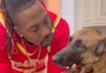 Dwight Howard Seeks Justice After Beloved Dog Sunday Killed In Hit-And-Run Dwight Howard mourns the loss of his dog Sunday after a tragic hit-and-run in Suwanee, Georgia.
