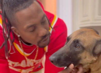 Dwight Howard Seeks Justice After Beloved Dog Sunday Killed In Hit-And-Run Dwight Howard mourns the loss of his dog Sunday after a tragic hit-and-run in Suwanee, Georgia.