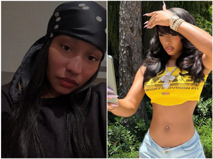 Nicki Minaj reacts to lawsuit against Megan Thee Stallion and Roc Nation