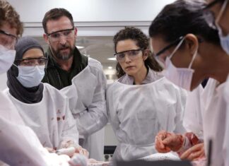 ‘The Pitt’ Season 2 Teaser: HBO Max Sets January 2026 Premiere Date the-pitt-season-2-gerran-howell-amielynn-abellera-noah-wyle-sepideh-moafi-supriya-ganesh