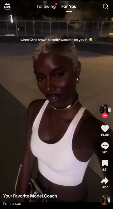 A dark-skinned woman on TikTok says she was mistreated by Chris Brown's security at Breezy Bowl