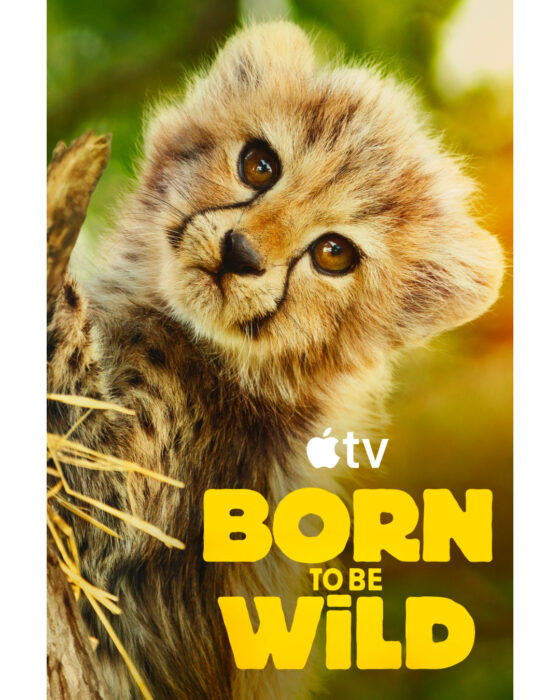 Born-To-Be-wild-Apple-TV