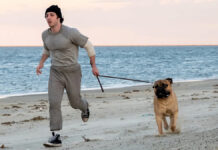 ‘I Play Rocky’ Trailer Brings Sylvester Stallone’s Incredible True Story To Life Anthony Ippolito as Sylvester Stallone in the I Play Rocky trailer.