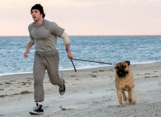 ‘I Play Rocky’ Trailer Brings Sylvester Stallone’s Incredible True Story To Life Anthony Ippolito as Sylvester Stallone in the I Play Rocky trailer.