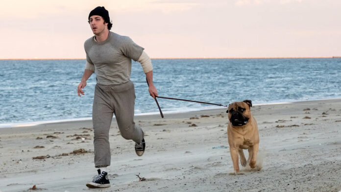 Anthony Ippolito as Sylvester Stallone in the I Play Rocky trailer.